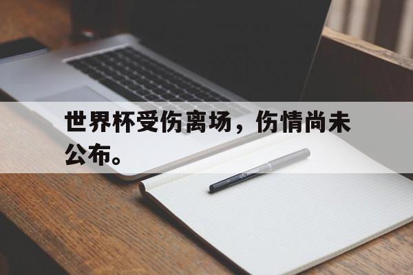 九游网官方网站入口-世界杯受伤离场，伤情尚未公布。
