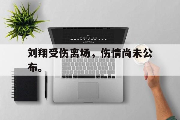 九游游戏中心官网注册账号-刘翔受伤离场，伤情尚未公布。