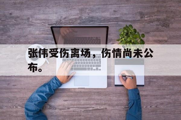 九游网官方网站入口-张伟受伤离场，伤情尚未公布。