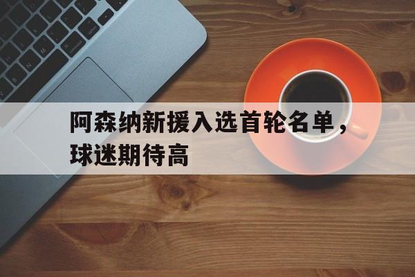 九游网官方网站入口-阿森纳新援入选首轮名单，球迷期待高
